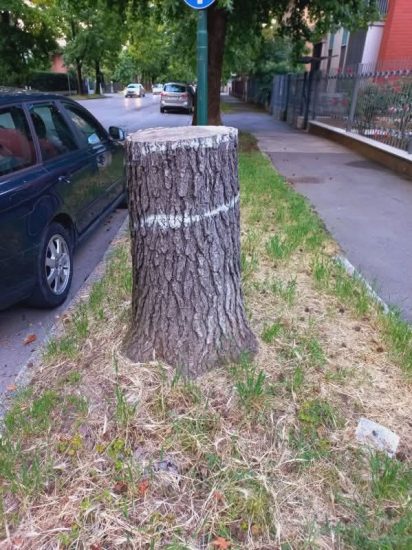 tutela_verde_urbano